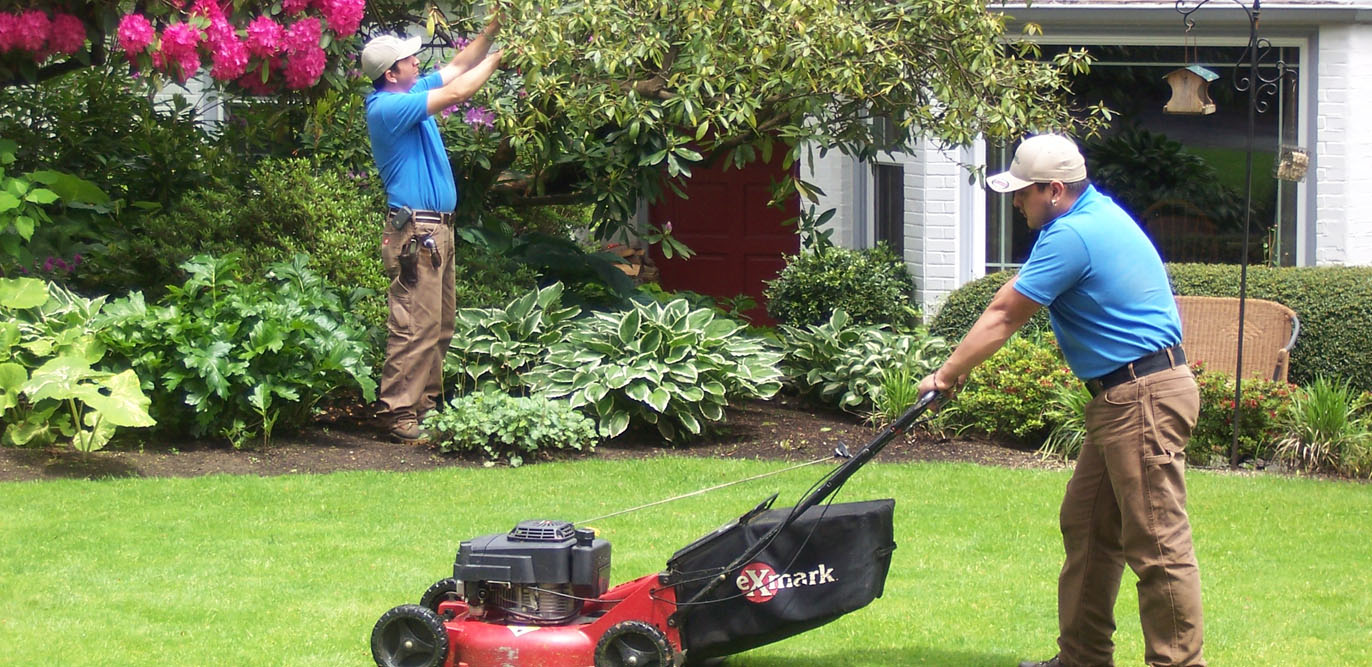 Lawn care and tree trimming